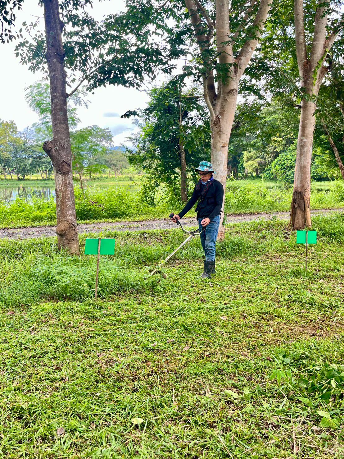 กองสาธารณสุขและสิ่งแวดล้อม อบต. น้ำแวนออกติดตามผลการปลูกต้นไม้ตามโครงการปลูกป่าเฉลิมพระเกียรติฯ บริเวณศูนย์ปฏิบัติธรรมหนองบัว